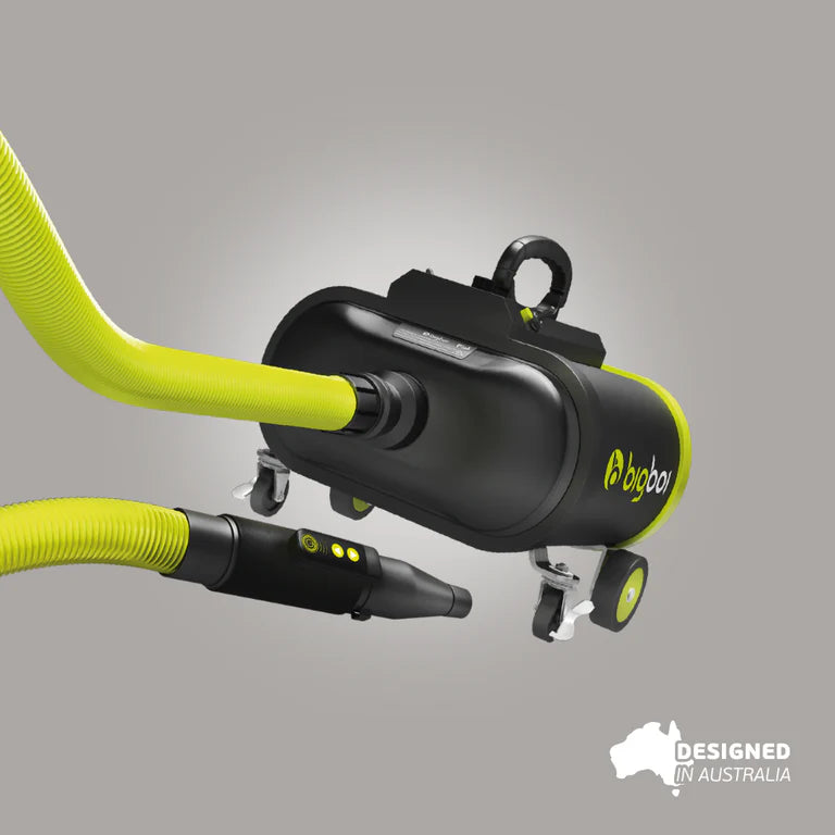 Bigboi BlowR Pro+ MKII