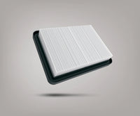 Bigboi SuckR Pro HEPA Filter